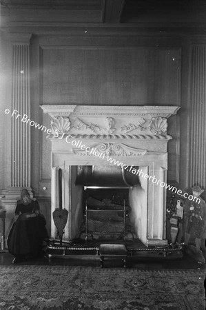 HOWTH CASTLE  FIREPLACE IN LIBRARY